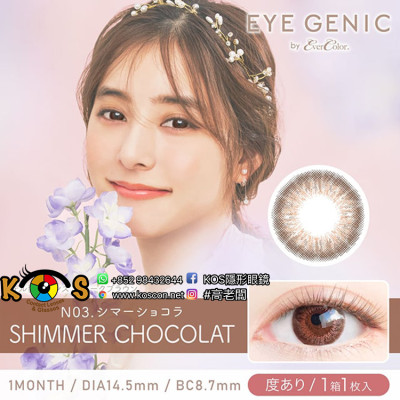 N03 EYEGENIC ShimmerChocolat アイジェニック シマーショコラ N03 EYEGENIC ShimmerChocolat アイジェニック シマーショコラ